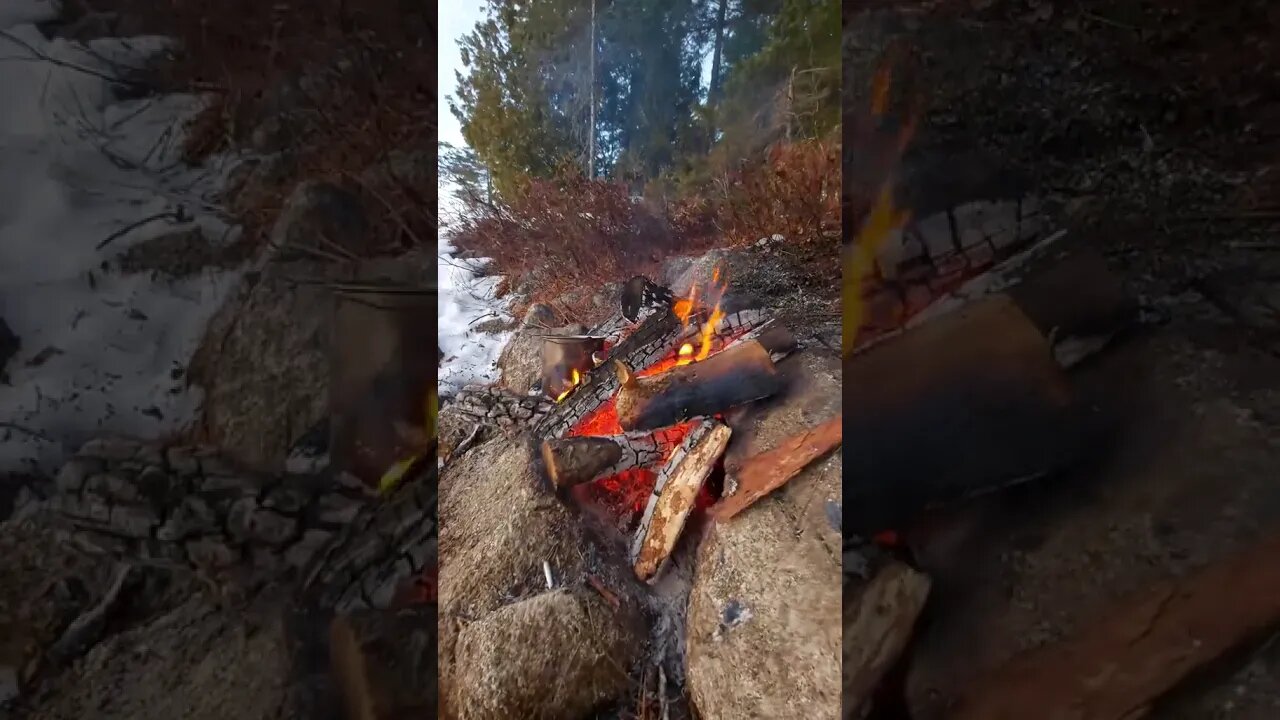 Reep the Reward for Hard Work