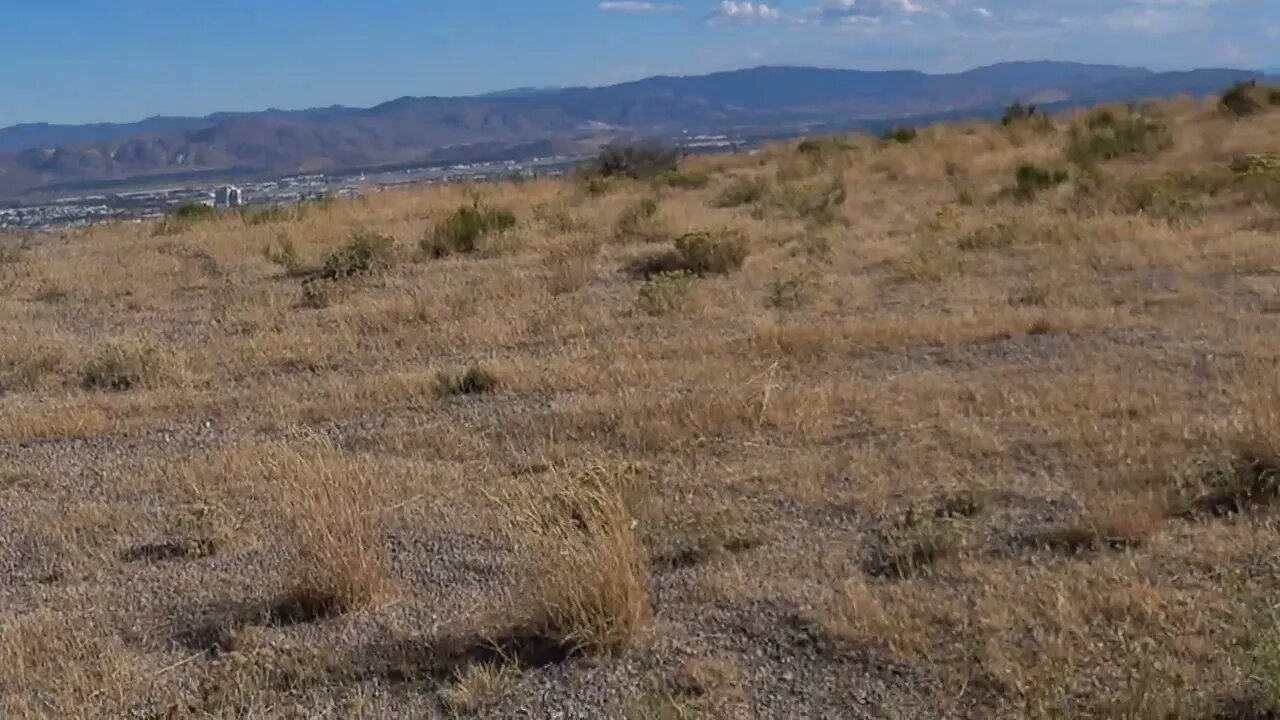 Hiking Peavine from the top of the hill down and out 4k