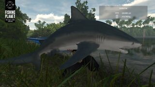 Fishing Planet Folge 516 Spezialköder Test am Amazonas