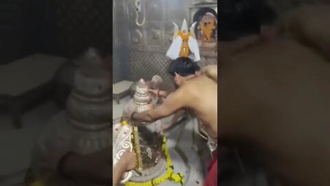 Ujjain Mahakaleswar Live Puja #mahakaleswar #mahakal #mahakalstatus #mahakalstatusfullscreen