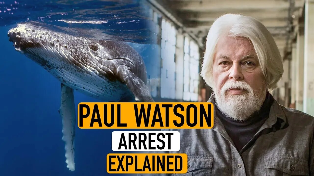 PAUL WATSON ARREST || Explained