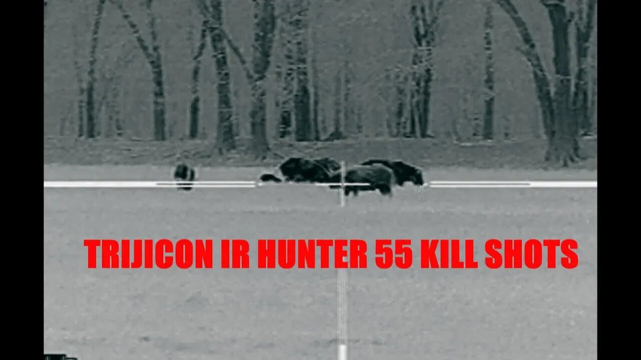 Thermal Hog Hunting 55 Hogs with Trijicon IR Hunter.