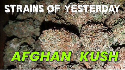 Strains of Yesterday: Afghan KUSH