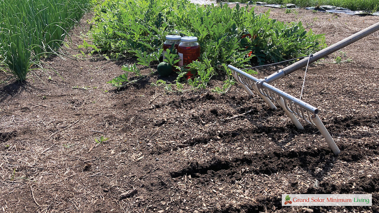 Garden Bed Preparation Part 4