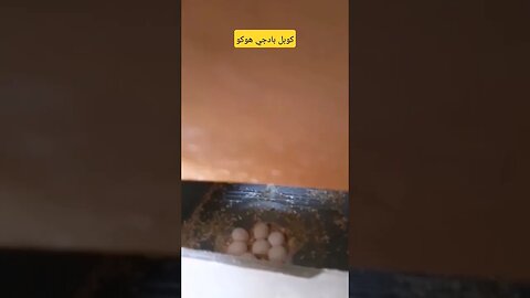 كوبل بادجي هوكو كيوت روعة مع البيض