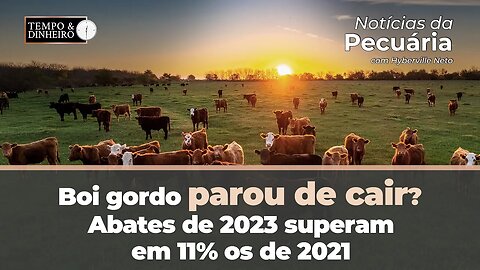 Boi gordo parou de cair? Abates de 2023 superam em 11% os de 2021. Hyberville Neto comenta