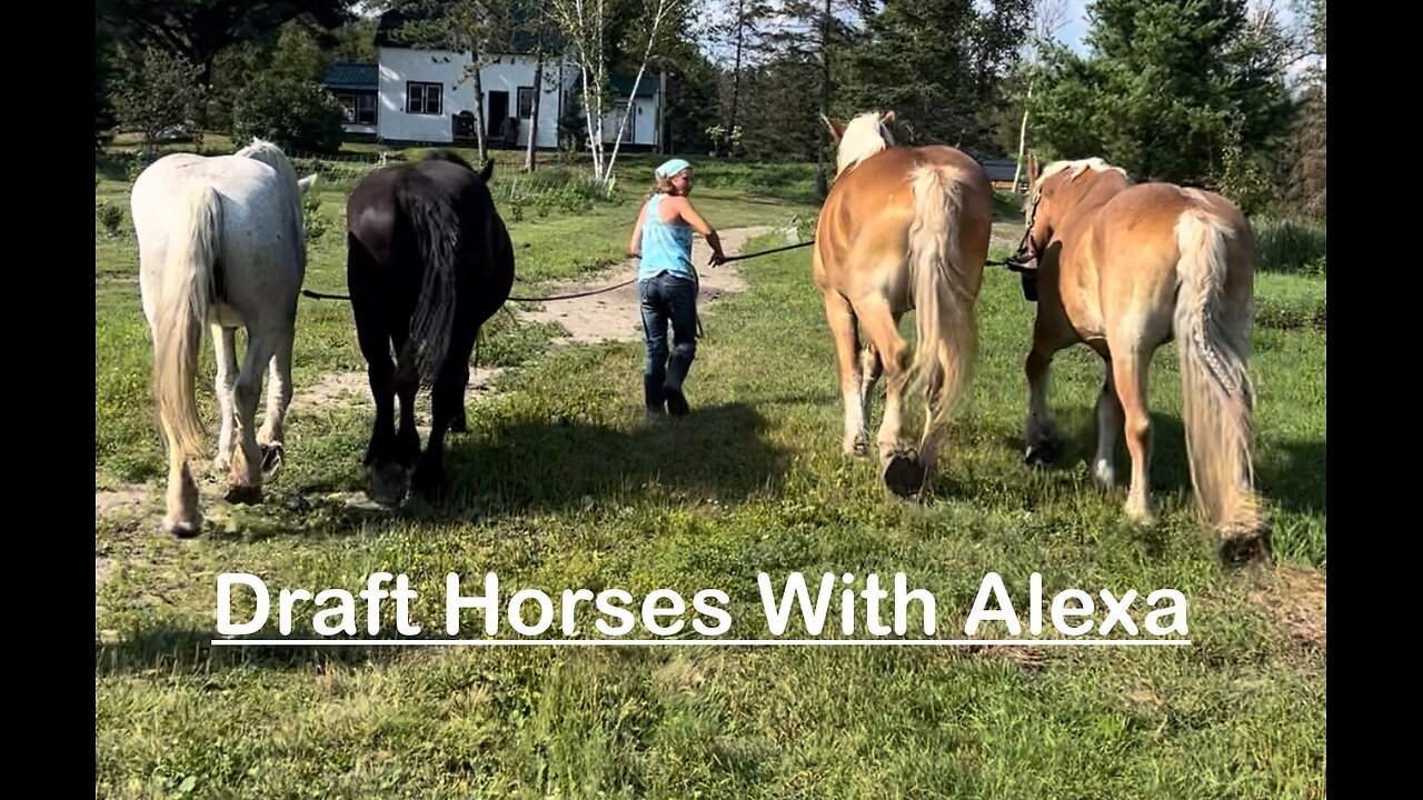 Draft Horses With Alexa - Trailer