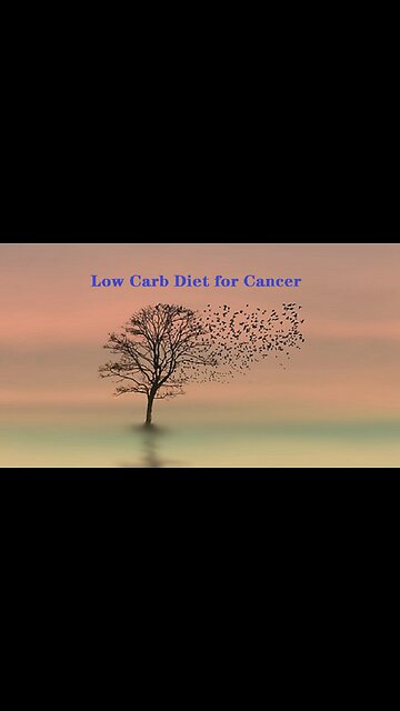 Low Carb Diet for Cancer