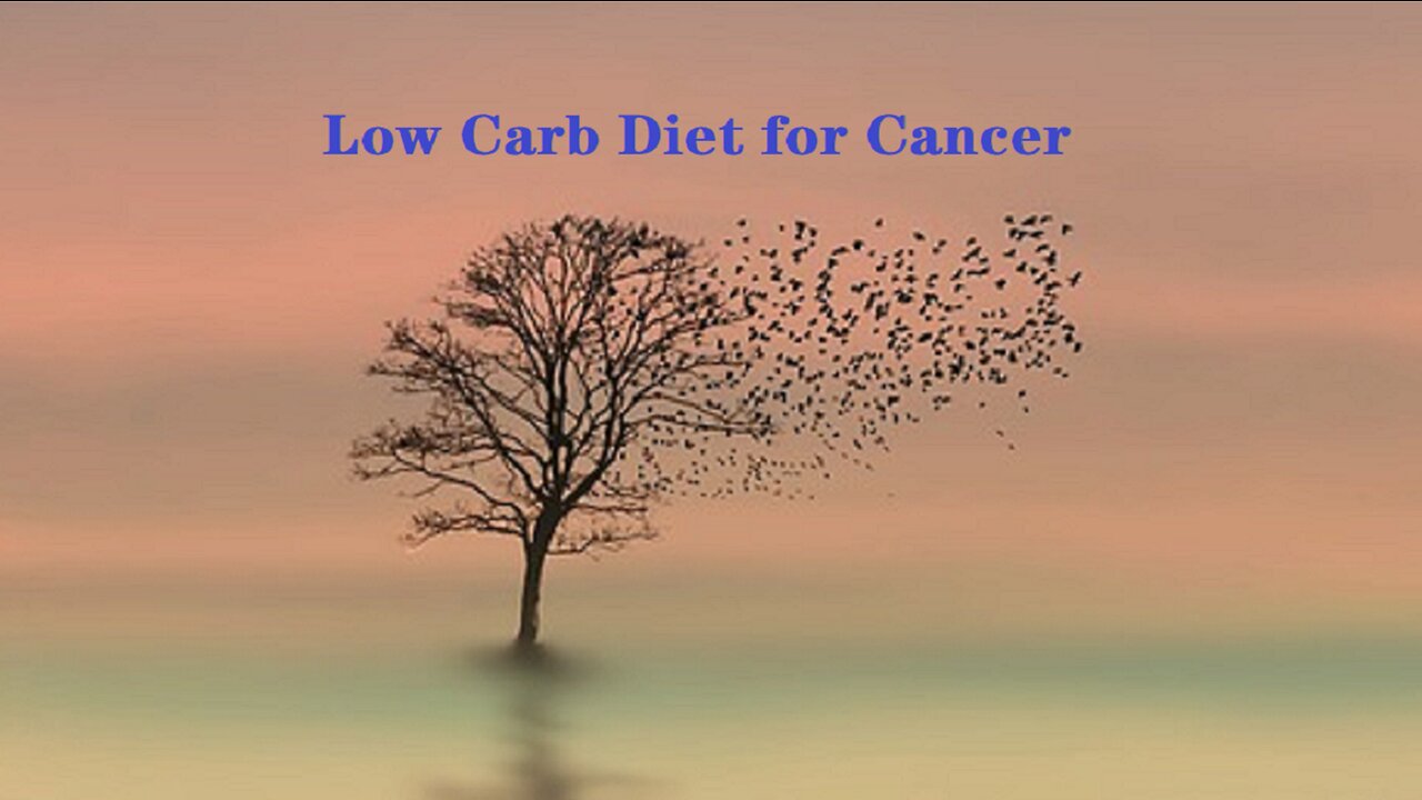 Low Carb Diet for Cancer