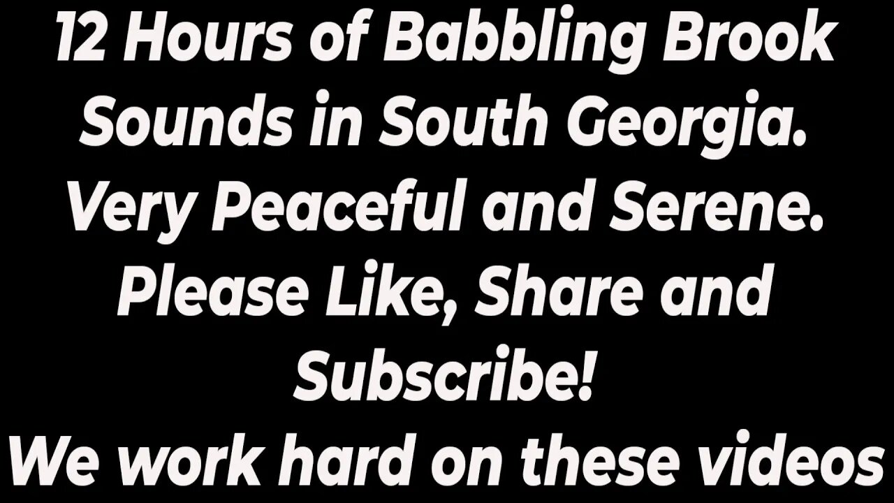 Repair Your Mind with 12 Hours of sounds of a Babbling Brook, in South Georgia woods