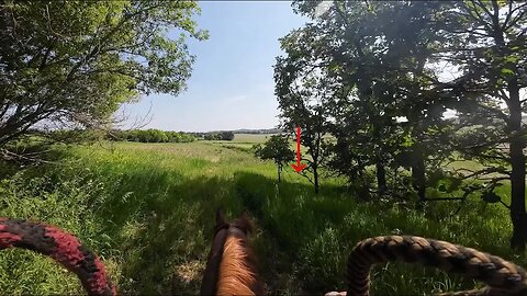 Turkey Jump Scare on Horseback 🙀