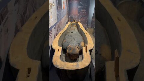 Ancient Egyptian Mummies #shorts