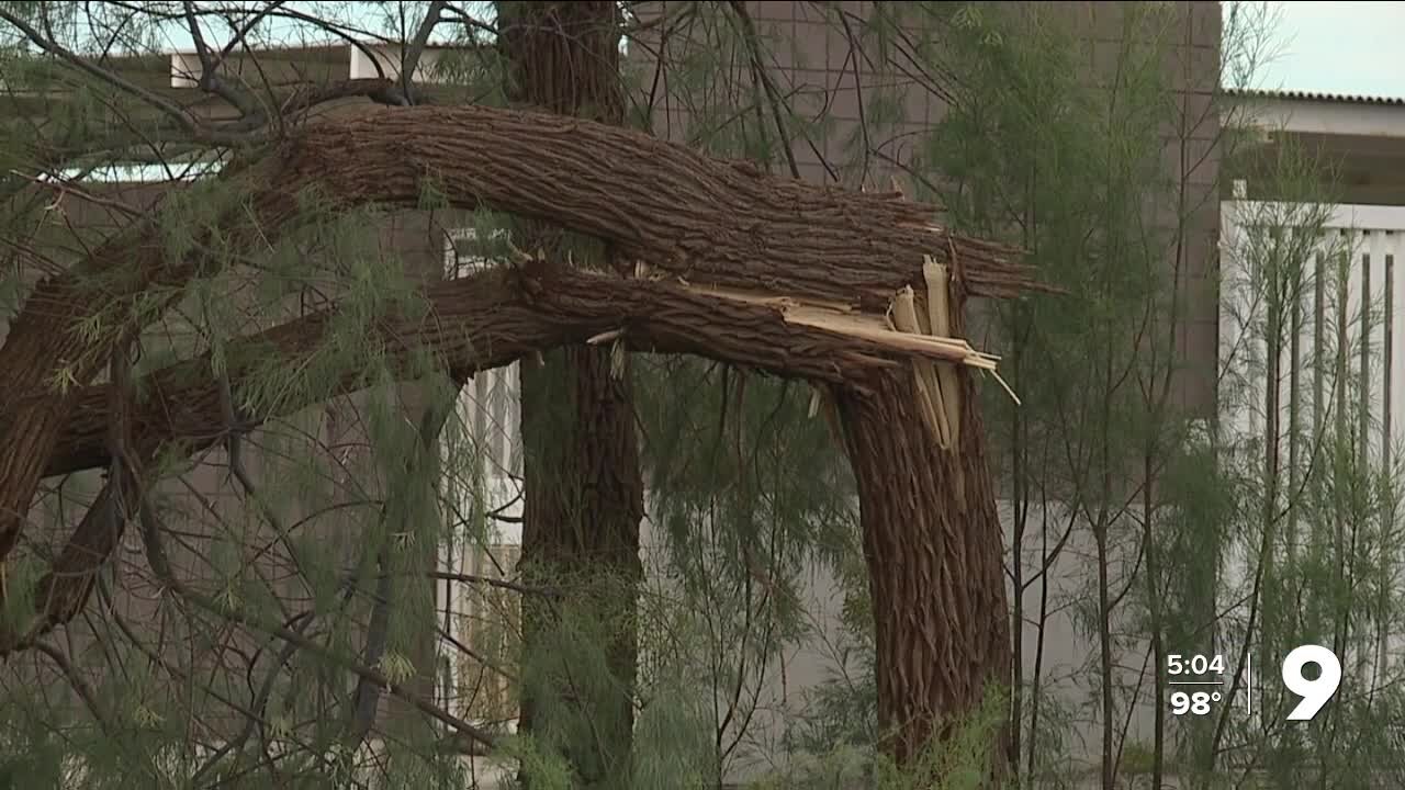 Marana storm damage cleanup crews at work