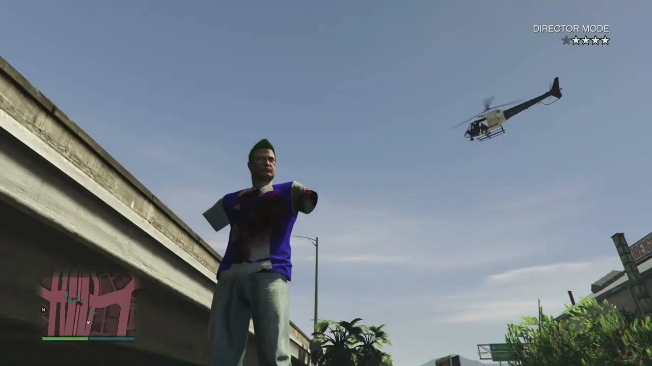 GTA 5 Director mode- armless guy glitch?