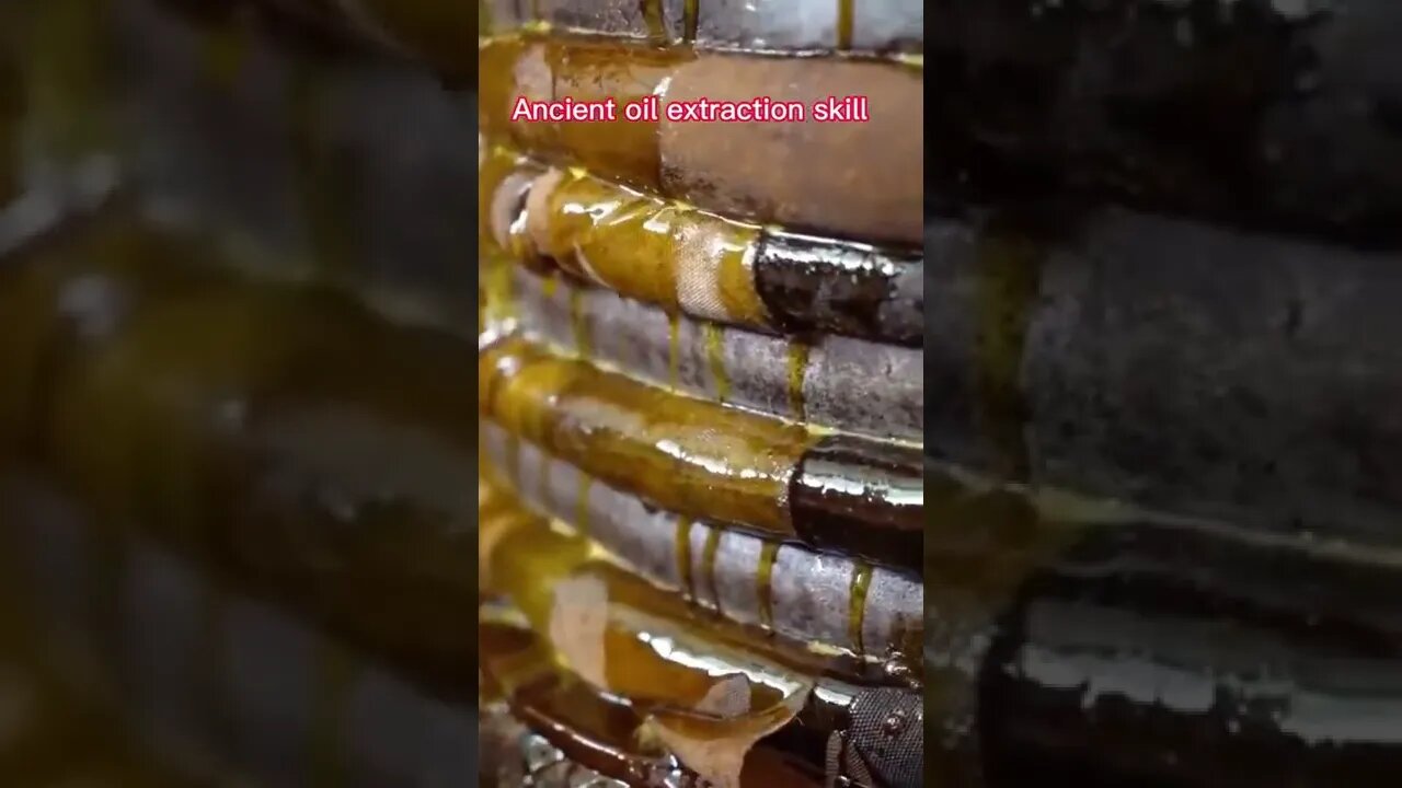 Ancient oil extraction skills