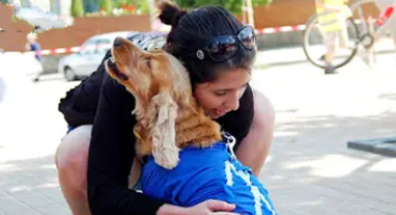 Dog meets owner after a long time *unbrekable bond*