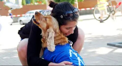 Dog meets owner after a long time *unbrekable bond*