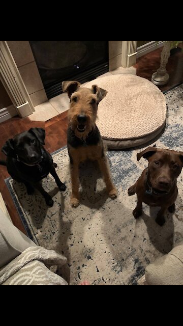 Havin some fun with Willow