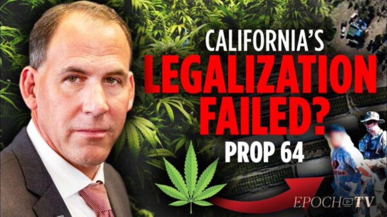 How California Law Created a Massive Marijuana Black Market | John Nores Jr.