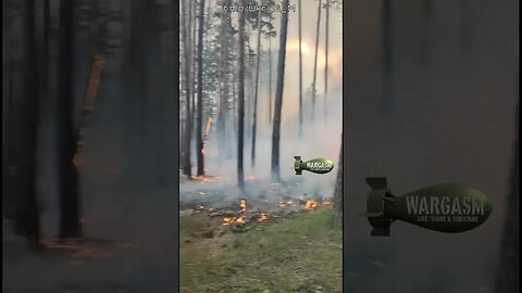 The result of Russian 9M22S incendiary rockets at Kremensky forest