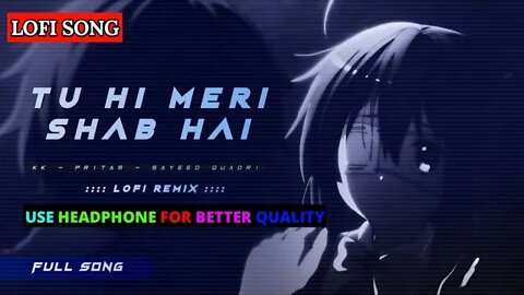 Tu Hi Meri Shab Hai _Tu Waqt Mere Liye_LoFi Remix 💙_See & Feel