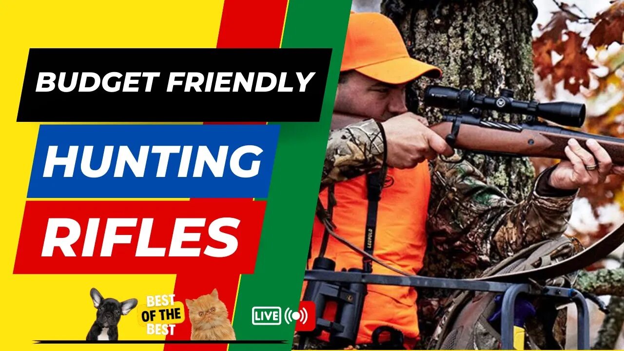 5 Budget-Friendly Hunting Rifles You MUST Know About