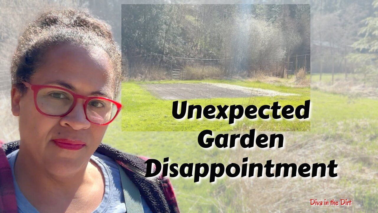 Unexpected Setback & Disappointment! 😞 | Urban Homestead VLOG