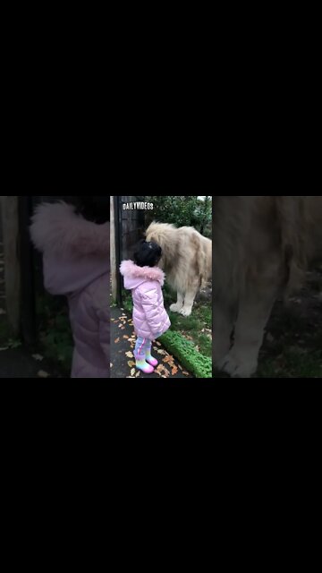 Try Not to laugh challenge 🤣 #funny #shorts