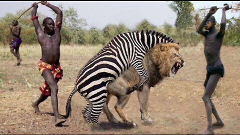 Top 10 Strongest Prey In The Wild - When Prey Fights Back - Prey VS Predator - Blondi Foks