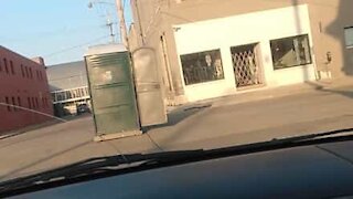 Alguma vez viu uma casa de banho portátil a passear na estrada?