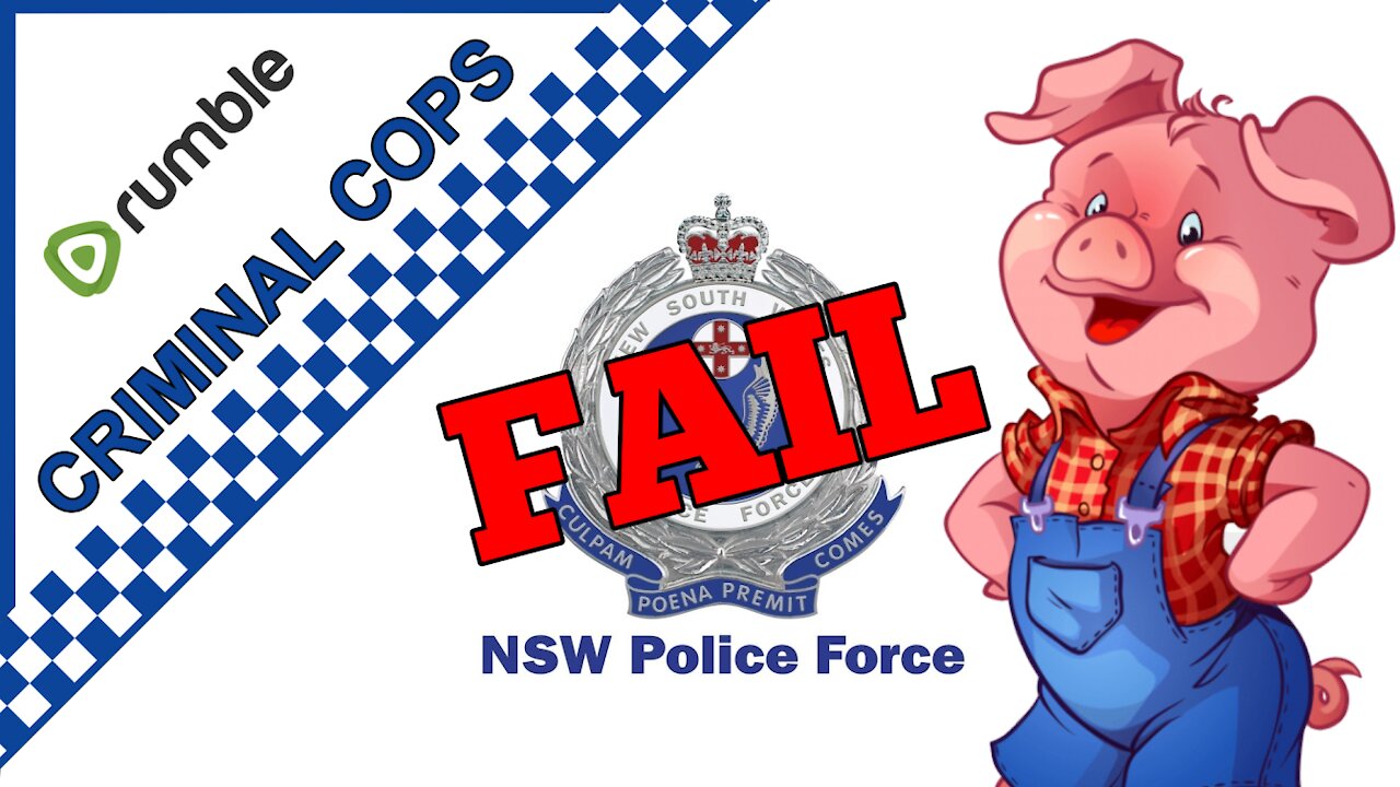 NSW Police use excessive force / Assault Woman Driver