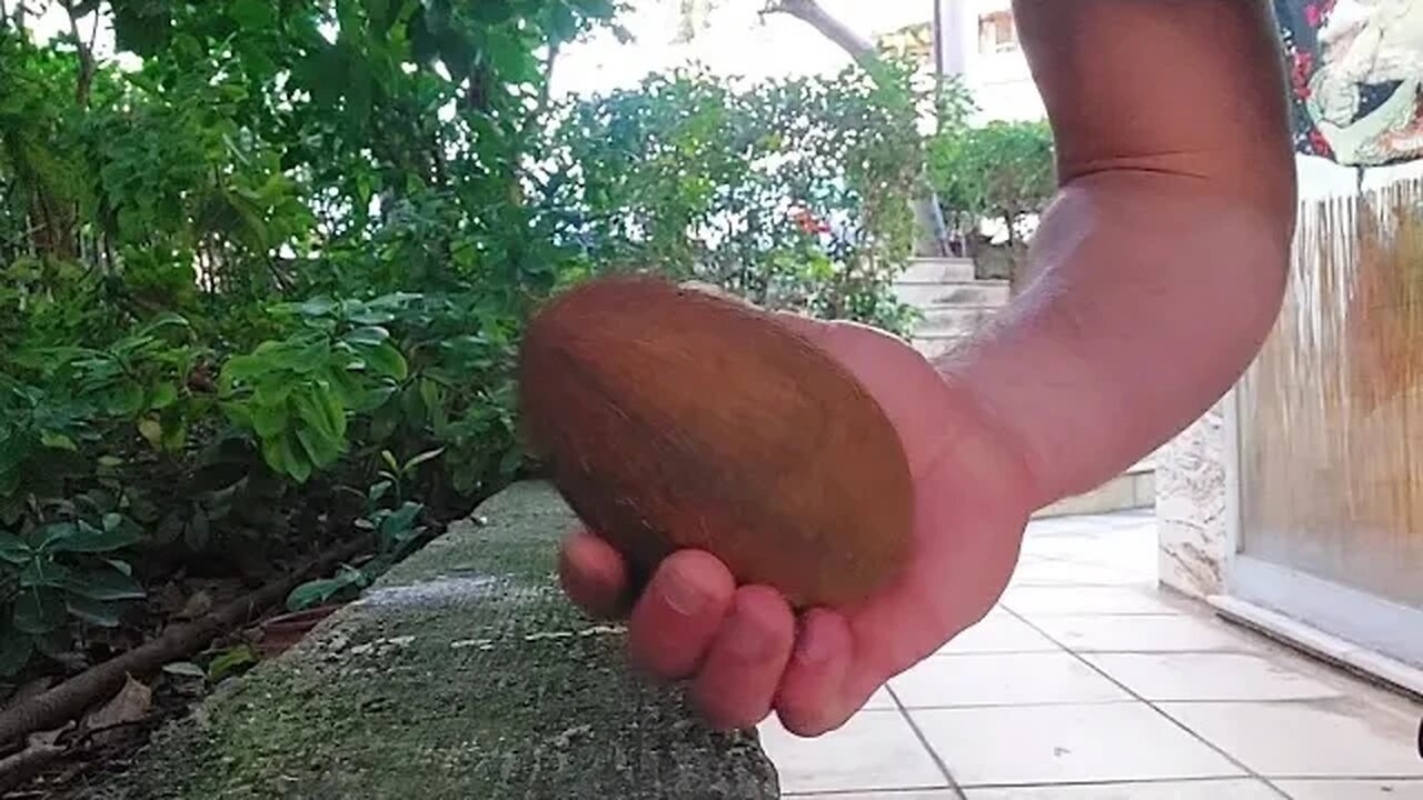 Challenge accepted Breaking a coconut with forearm @jkdlykourgos #ironpalm #ironfist #martialarts