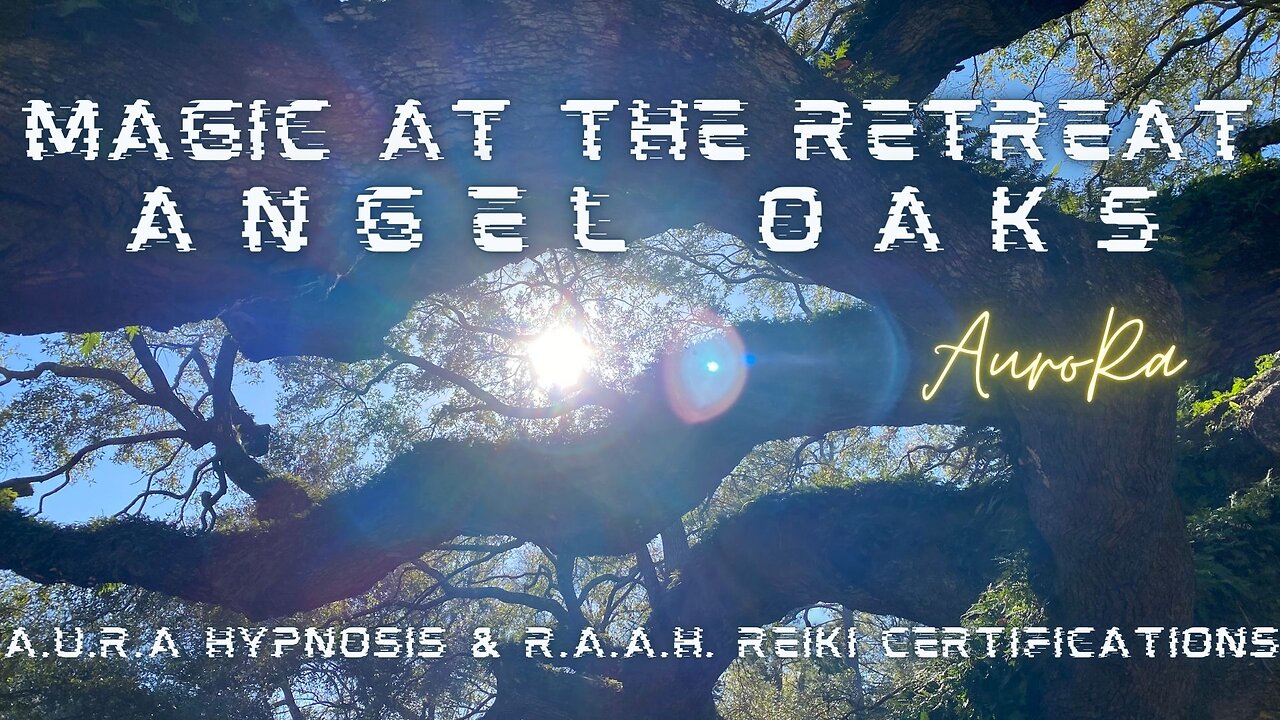 Magic at the Angel Oaks Retreat | Testimonials