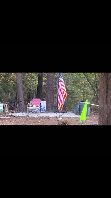 Nov 2020 50k: Mile 0, National Anthem