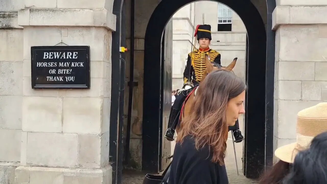 The horse's ears are right back take the hint #horseguardsparade