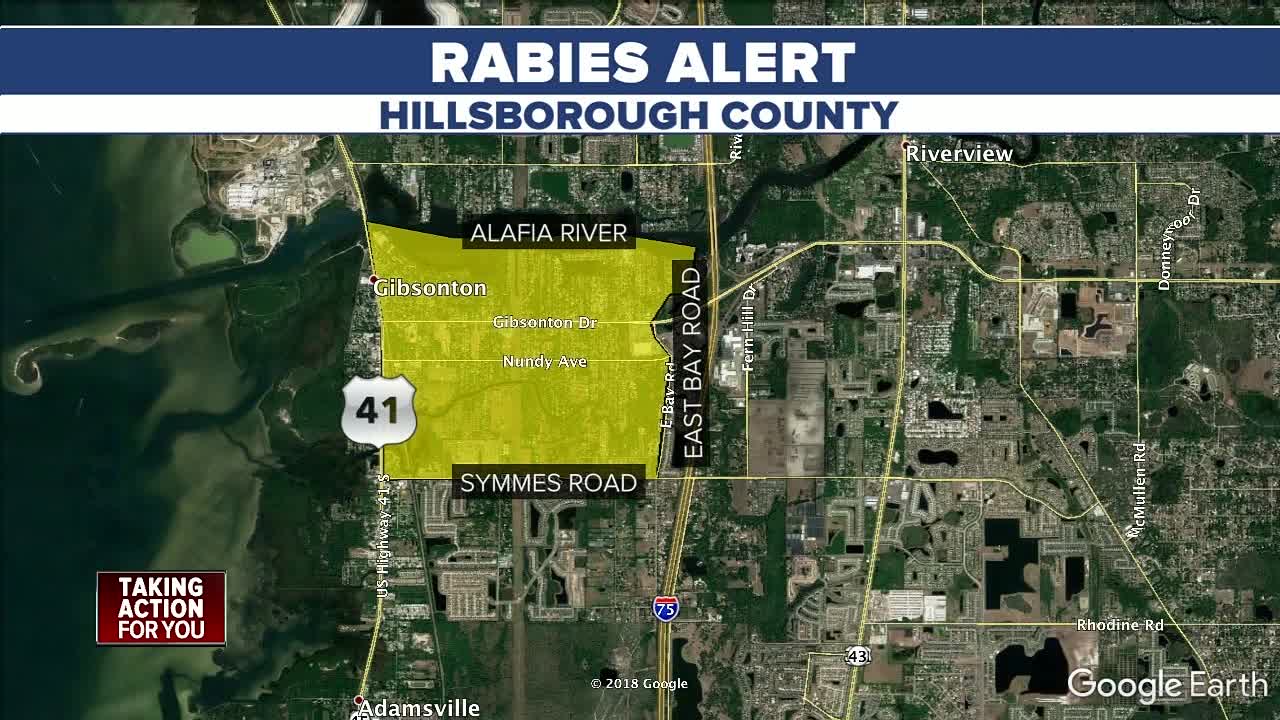 DOH: Rabies alert in place after a Hillsborough County man was attacked by a rabid cat