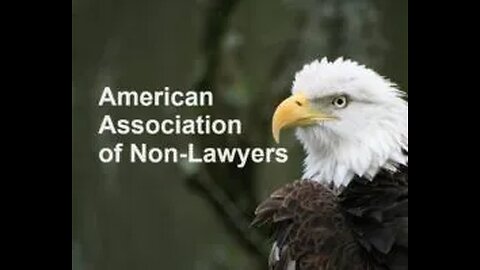 America's War: Courts, Roos and Rats.