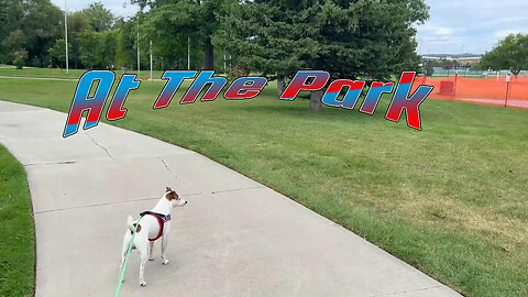 Trax at the park