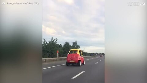 Carro de brincar passeia por autoestrada