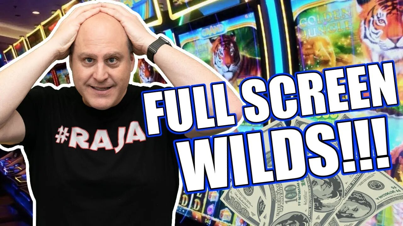 FULL SCREEN OF WILDS PAYS MASSIVE!