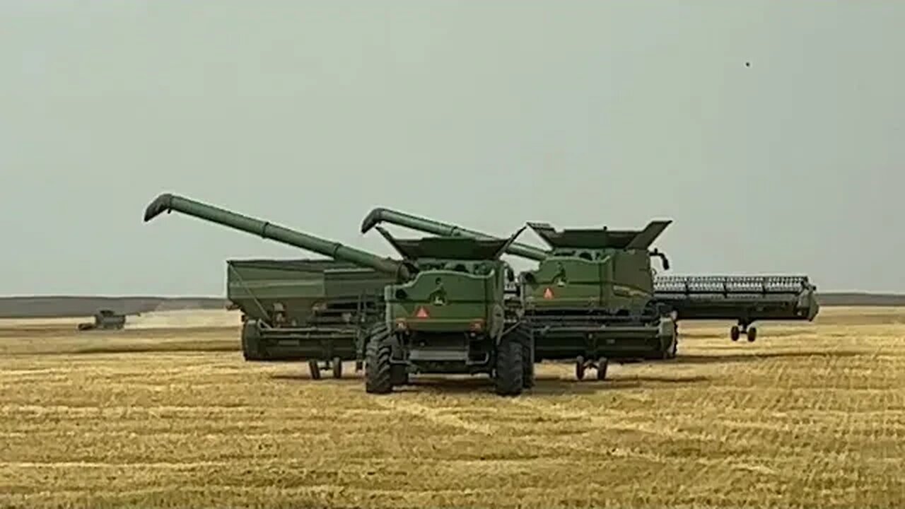 The Final Cut of the 2023 Highwood Montana Wheat Harvest / Day 28 (August 16)