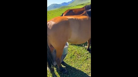 Village life