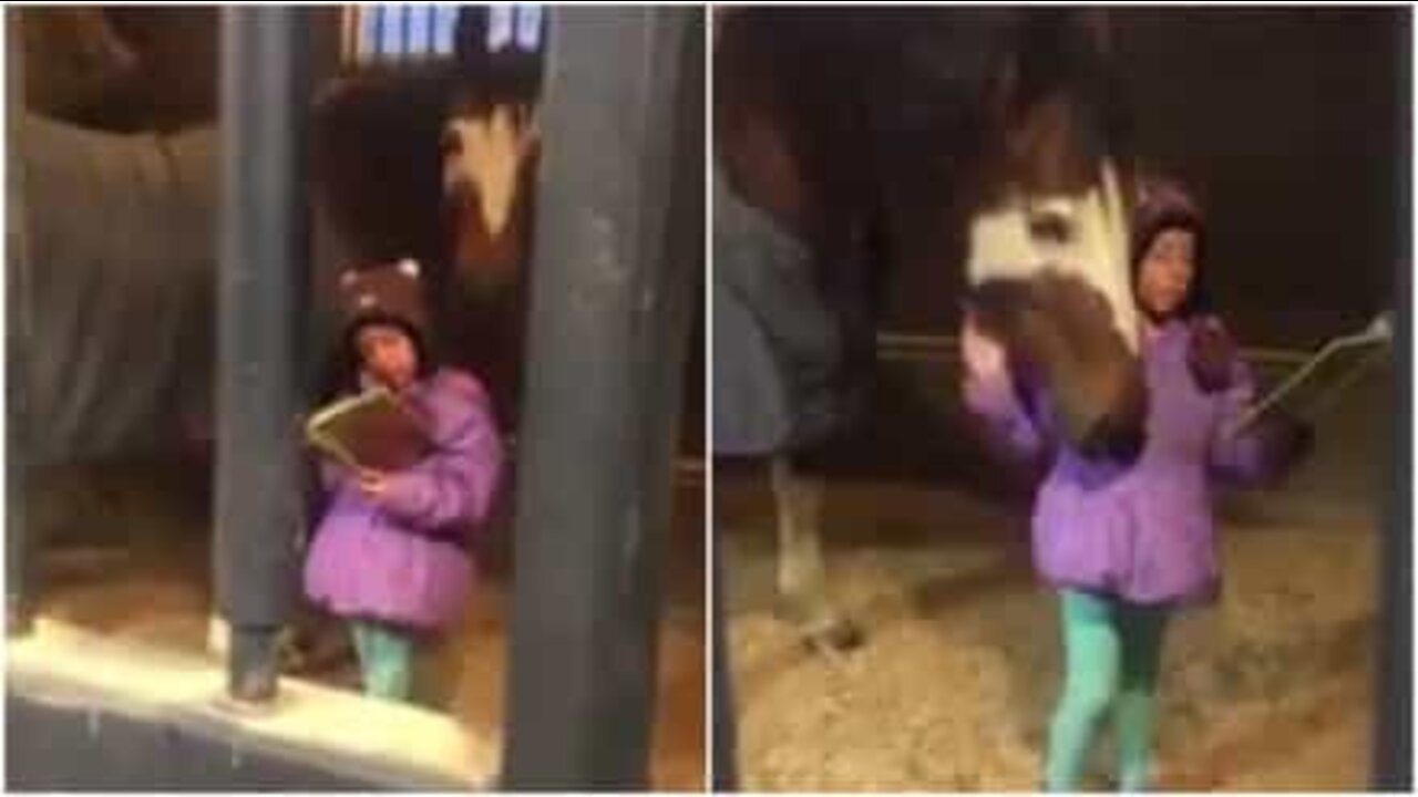 La bimba che legge tutti i giorni una favola al cavallo