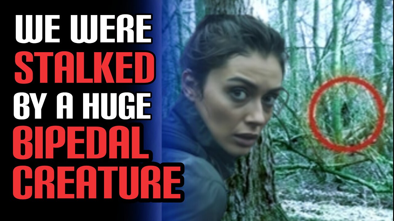 *BEWARE* These Can Be Aggressive | 3 Scary True Bigfoot Encounter Stories