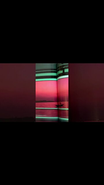 FREE Donnie Katana x Playboi Carti Type Beat #pierrebournetypebeat #playboicarti #pierrebourne