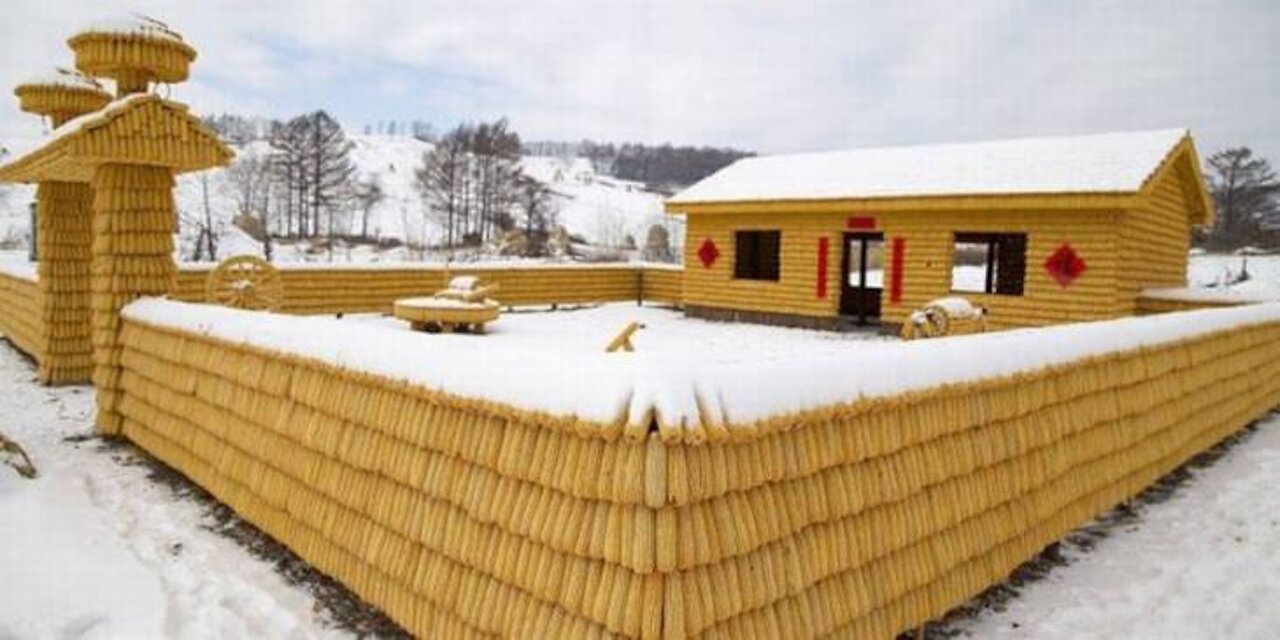 Look at This Amazing Corn Cob House! ⛩🌽🏘 - Here’s The Video -: Must Watch