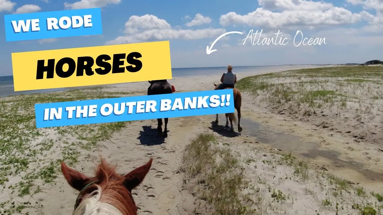 Sun 😎, sand 🏖 and HORSES 🐎 ?!? [Season 2- Ep.20]