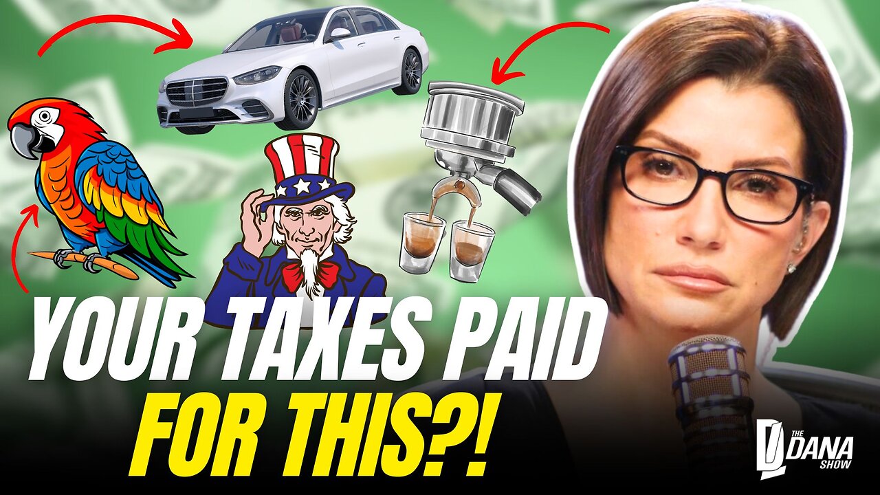 The Most RIDICULOUS Places Gov't Spent YOUR Money This Year.