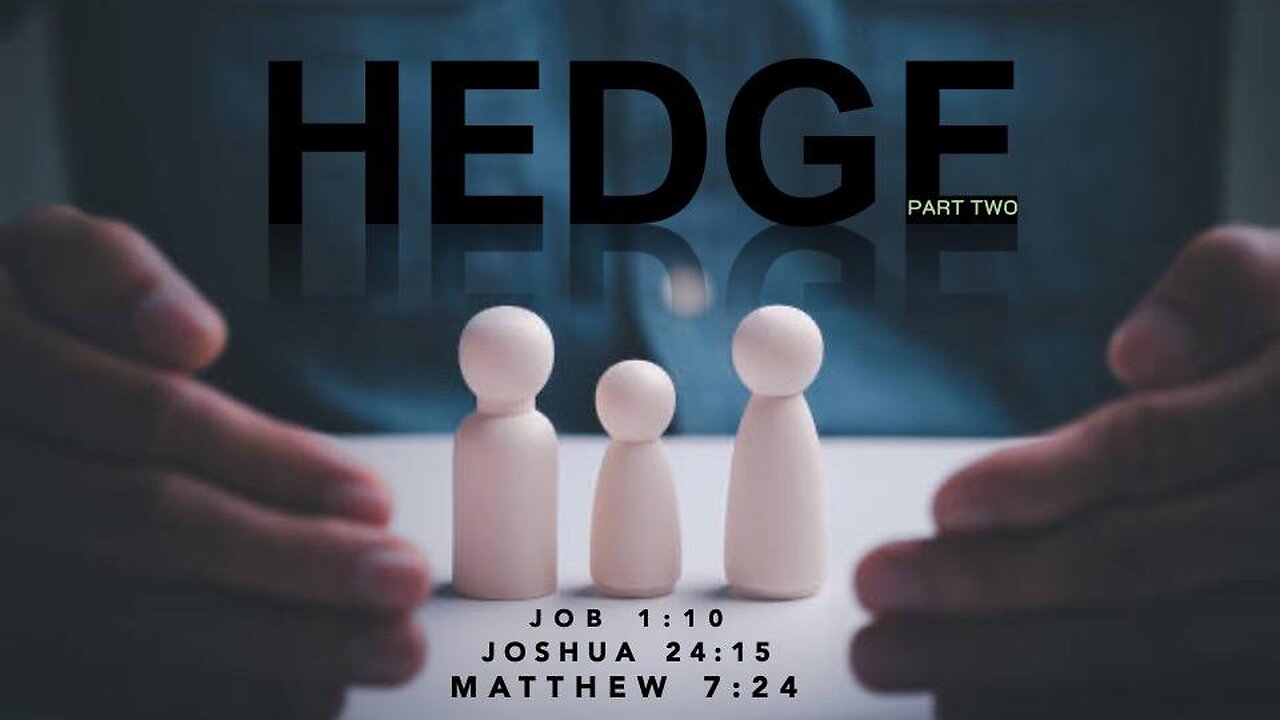 The Hedge 2