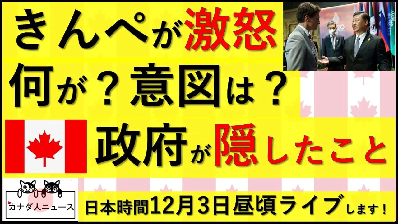 11.17 怒られちゃった理由は？